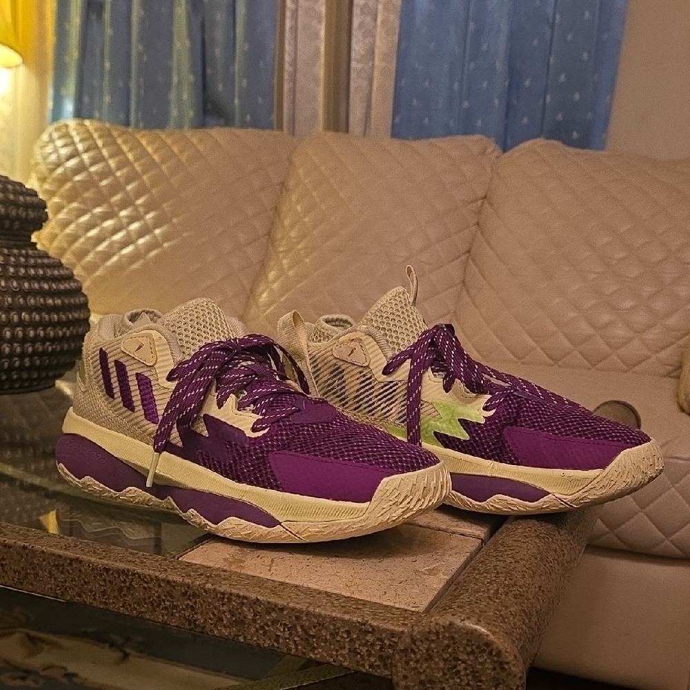 Adidas Basketball Shoes - Purple and Yellow